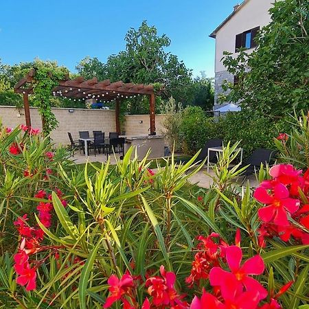 Vila Primorka Apartmani Oleander سيلو المظهر الخارجي الصورة