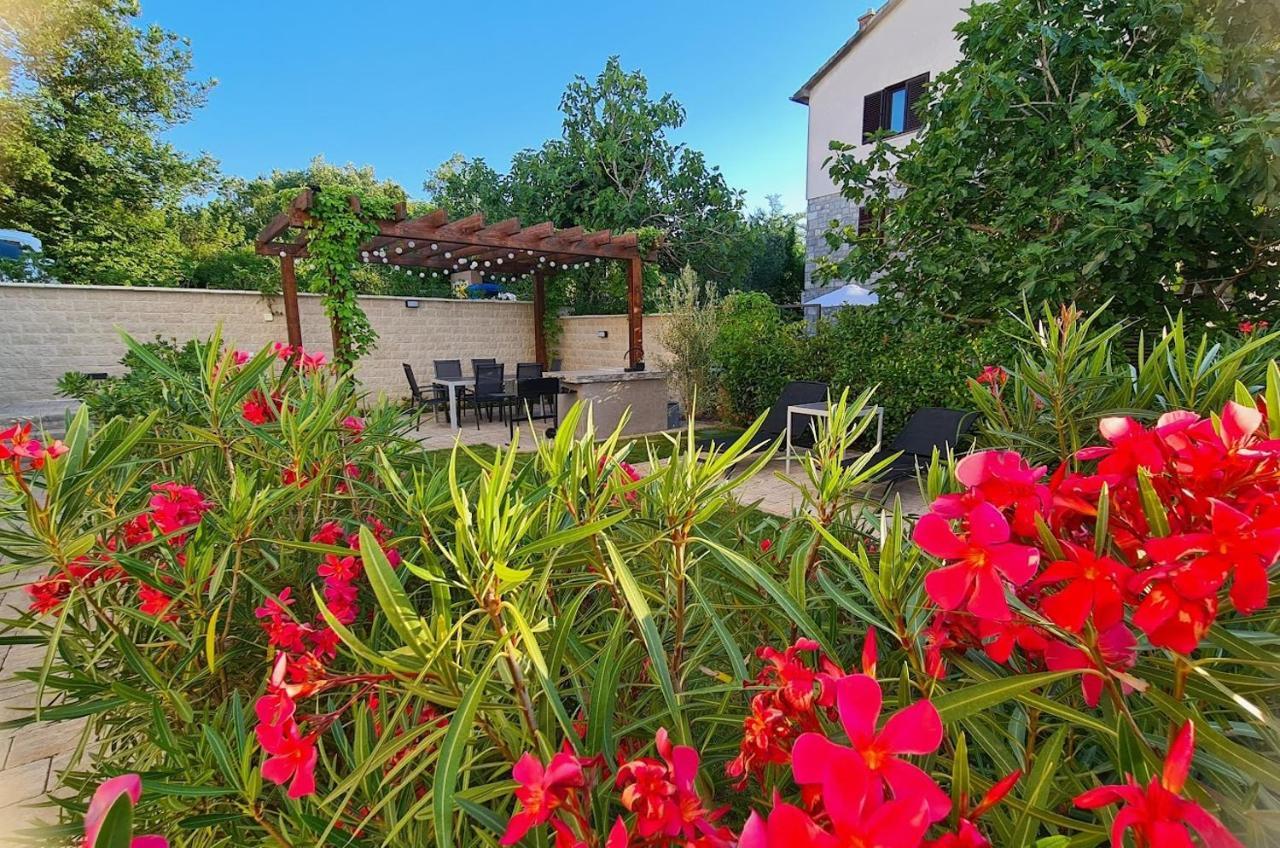 Vila Primorka Apartmani Oleander سيلو المظهر الخارجي الصورة